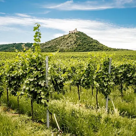 Na Ceste 巴甫洛夫