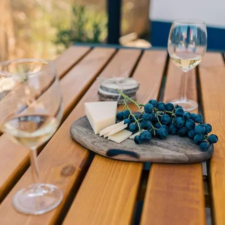 Na Ceste * 巴甫洛夫