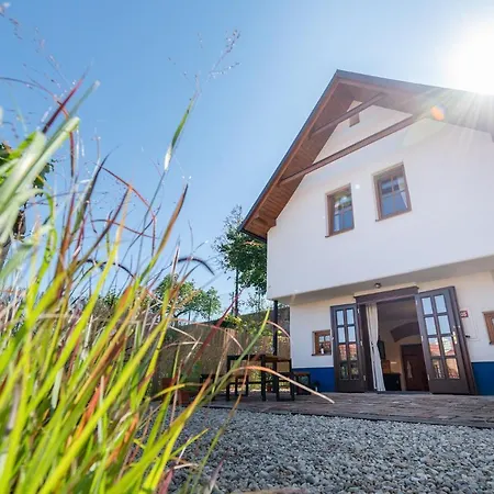 Na Ceste 巴甫洛夫