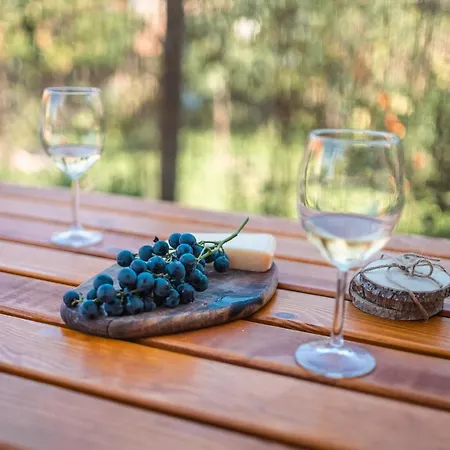 Na Ceste * 巴甫洛夫